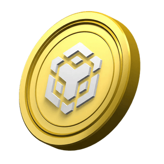 Decorative BNB coin featured in the Royal Vermode platform information section